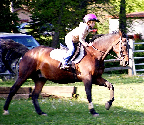 girl in pink helmet riding a horse